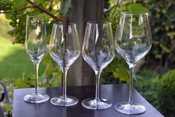 exqi rood wijnglas42 cl